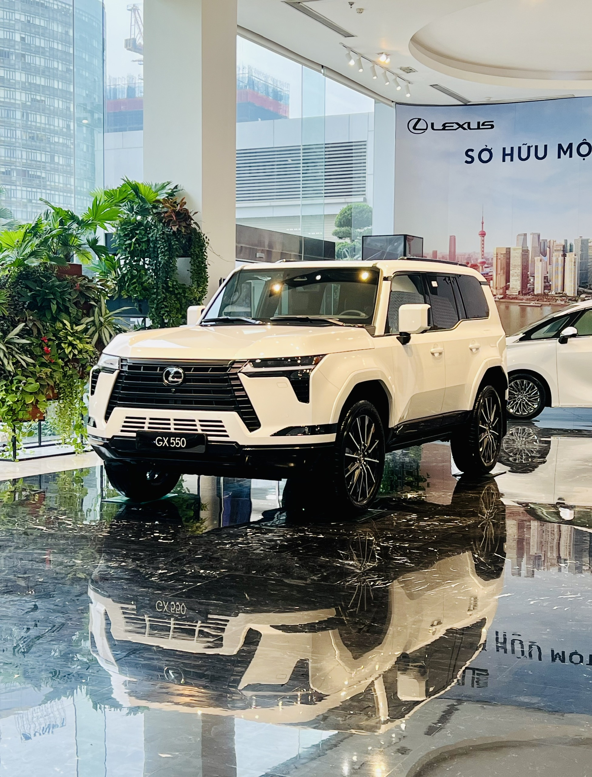 GX550